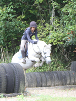 Dinky & Amelia xc