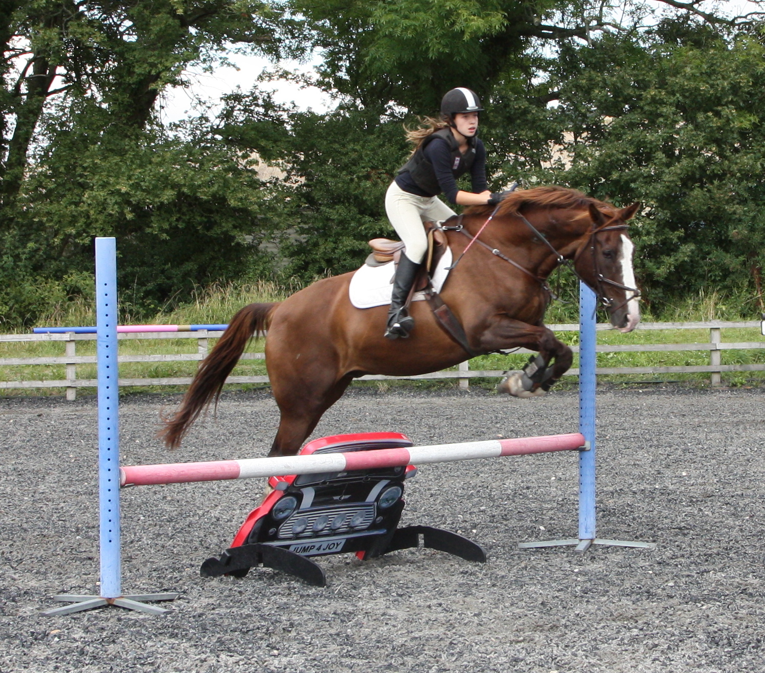 Cross Country and Show Jumping Training at Lower Peake Farm Greatham