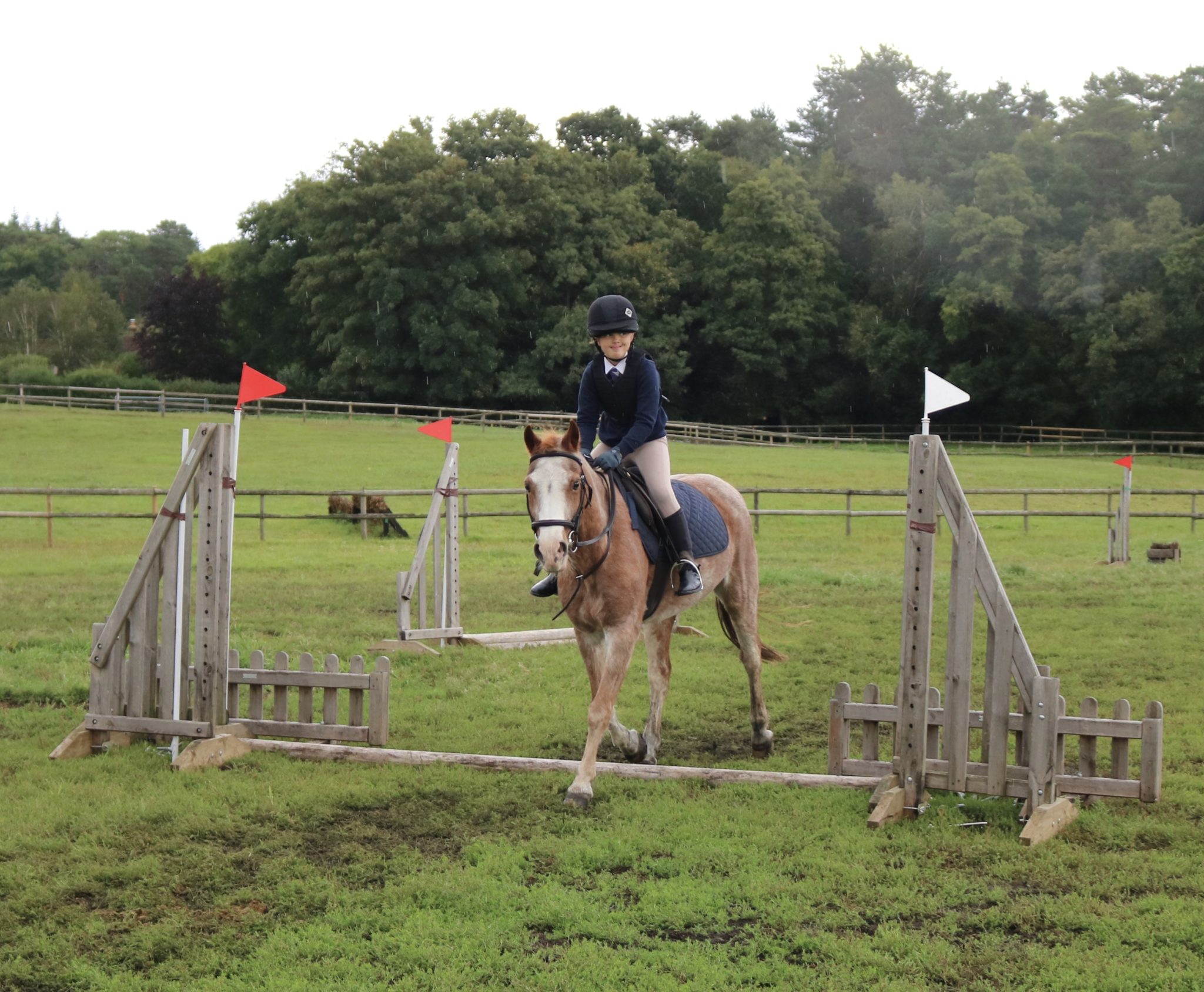 Greatham Equestrian Centre Hampshire riding school